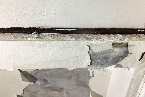 Cost of Porch Leak Repair in Snohomish